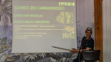 Vidéo – Constitution du Cannabis et des Cannabidoides